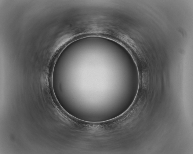 X0000113611452200909181409
