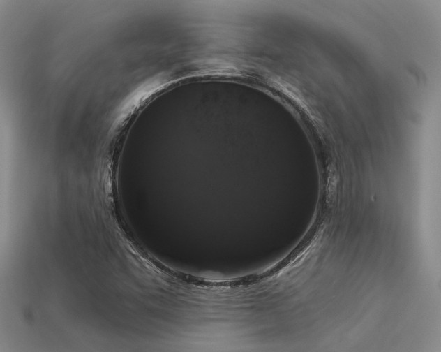X0000113611455200909181409