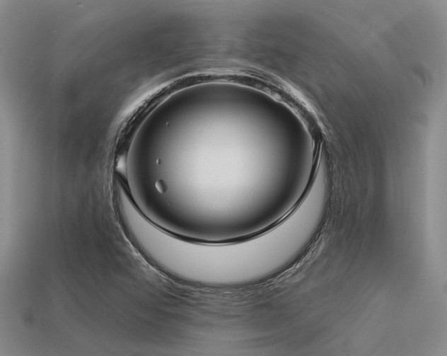 X0000113611456200909181409