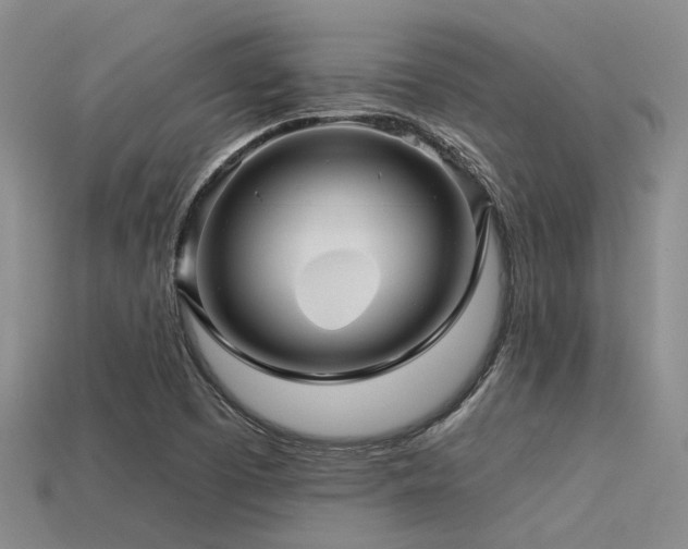 X0000113611457200909181409
