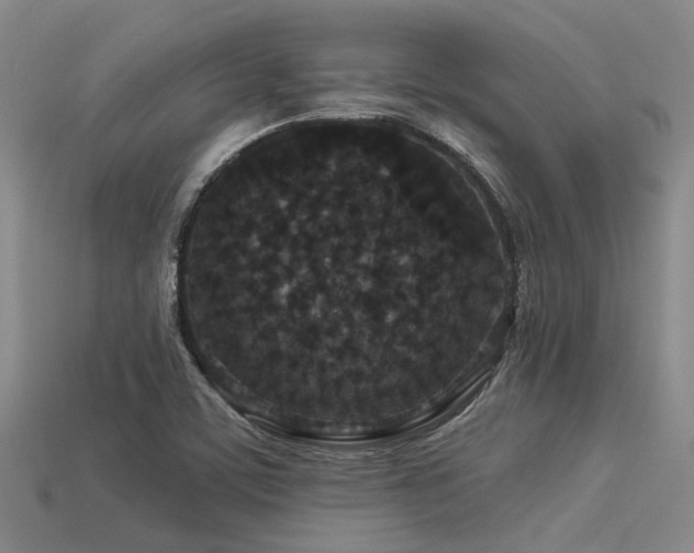 X0000113611459200909181409