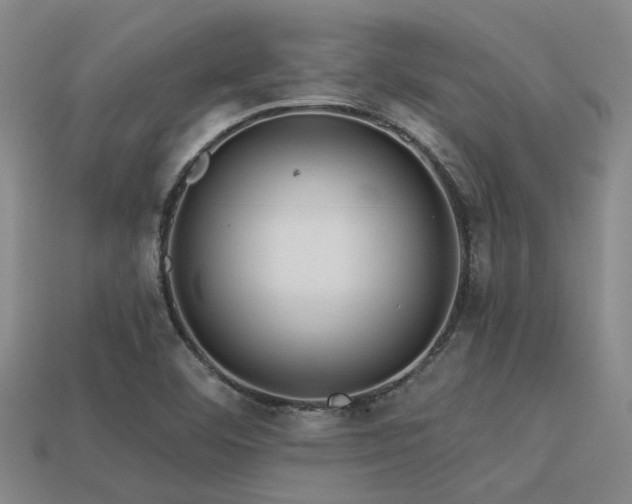 X0000113611460200909181409