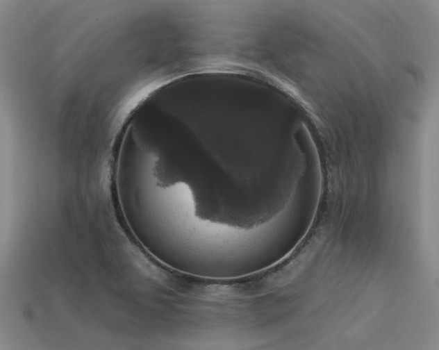 X0000113611463200909181409