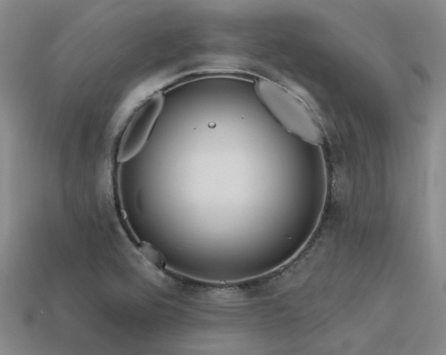 X0000113611464200909181409