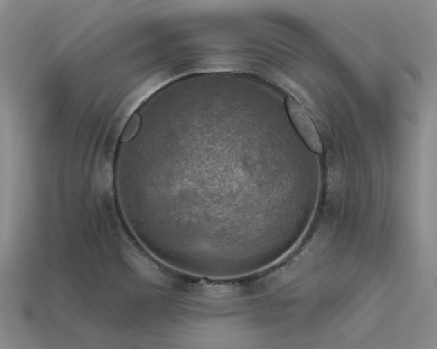 X0000113611465200909181409