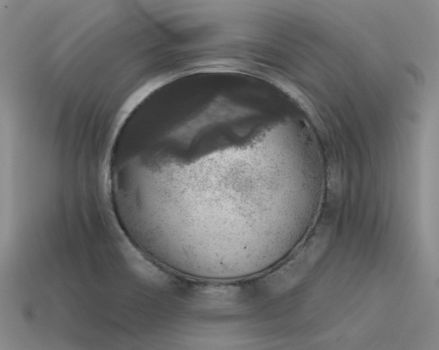 X0000113611466200909181409