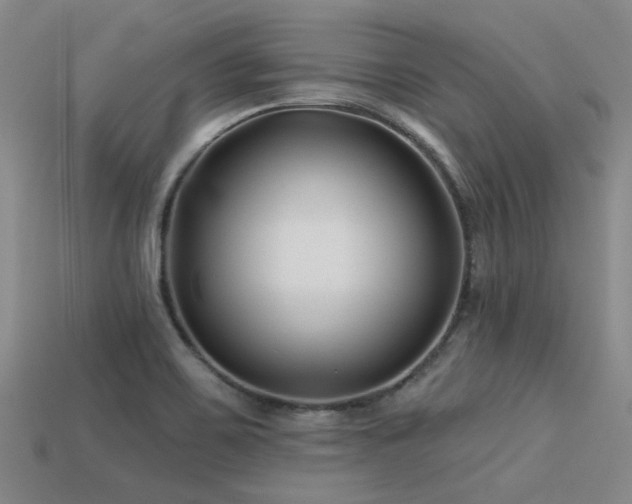 X0000113611467200909181409