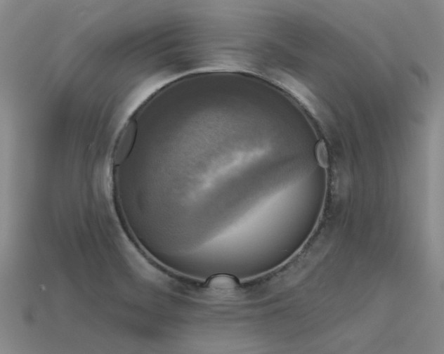 X0000113611468200909181409