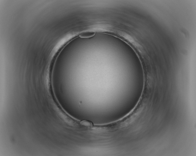 X0000113611469200909181409