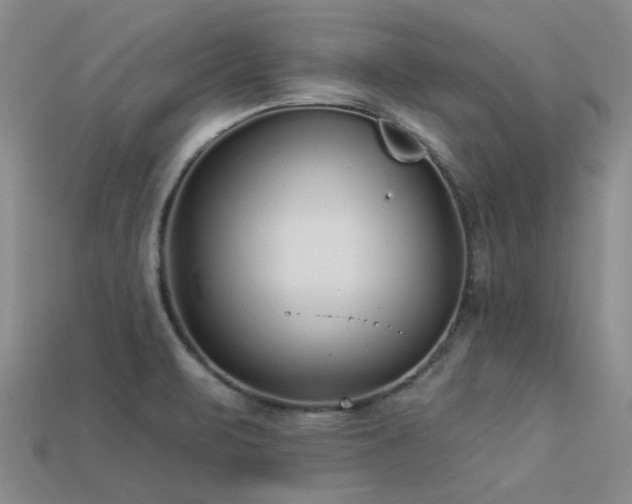 X0000113611471200909181409