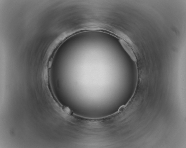 X0000113611472200909181409