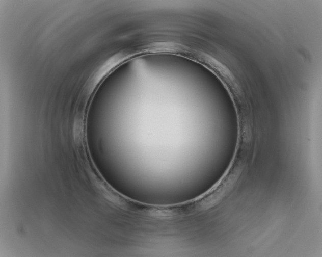 X0000113611473200909181409