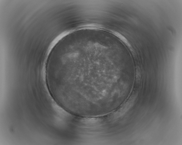 X0000113611474200909181409