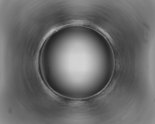 X0000113611475200909181409