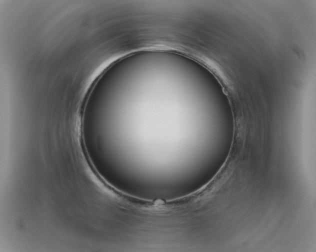 X0000113611476200909181409