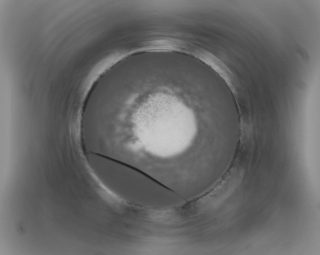 X0000113611477200909181409
