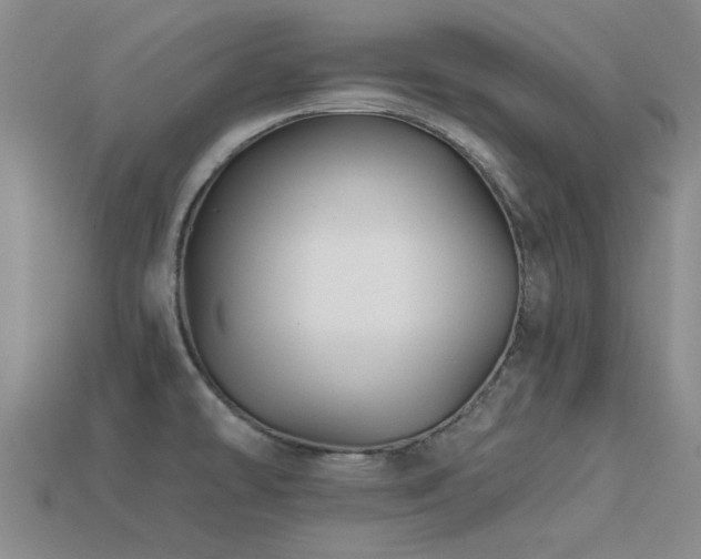 X0000113611478200909181409