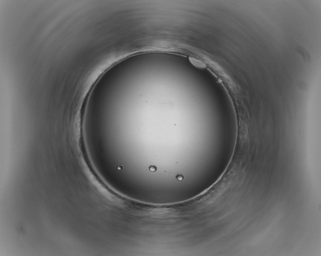 X0000113611479200909181409