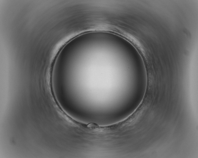 X0000113611480200909181409