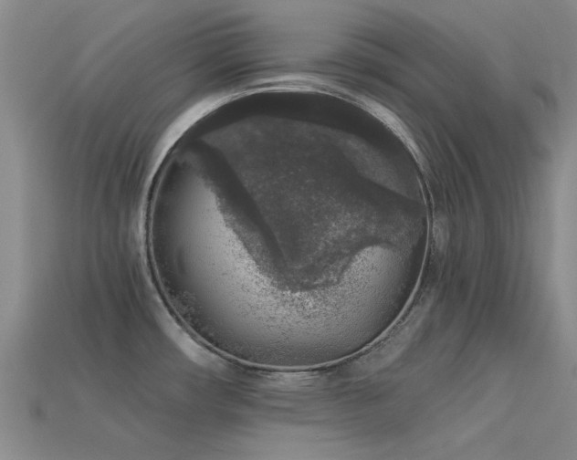 X0000113611482200909181409