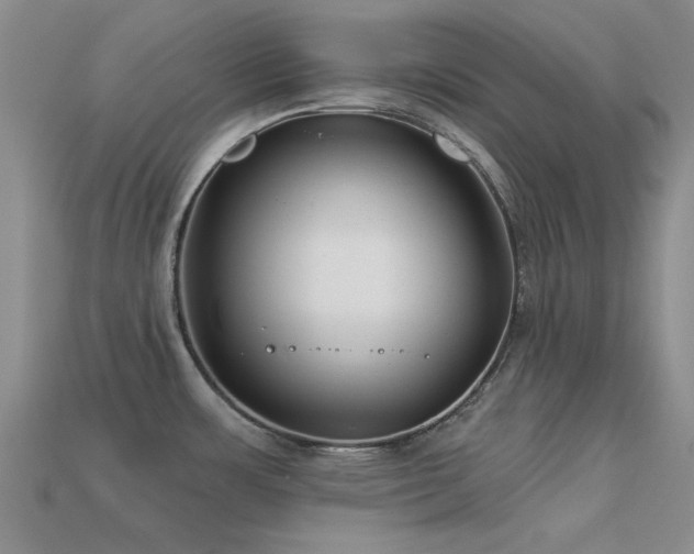 X0000113611483200909181409