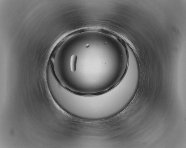 X0000113611484200909181409