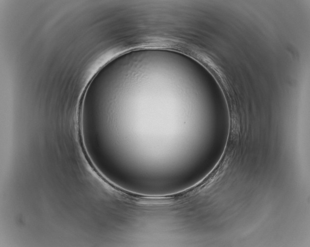 X0000113611487200909181409