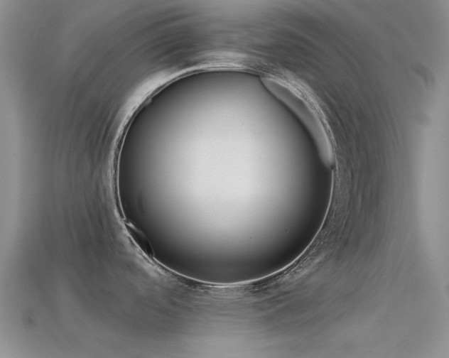 X0000113611488200909181409