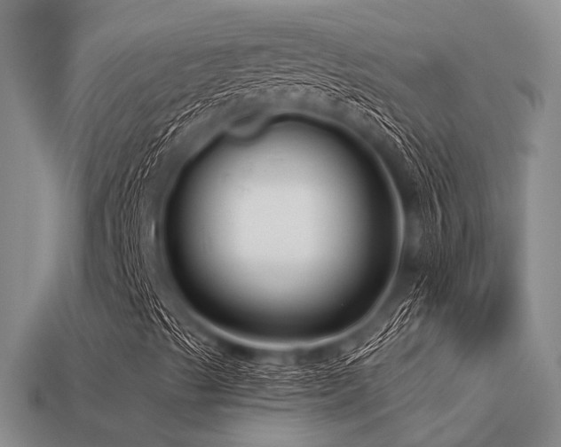 X0000113611489200909181408