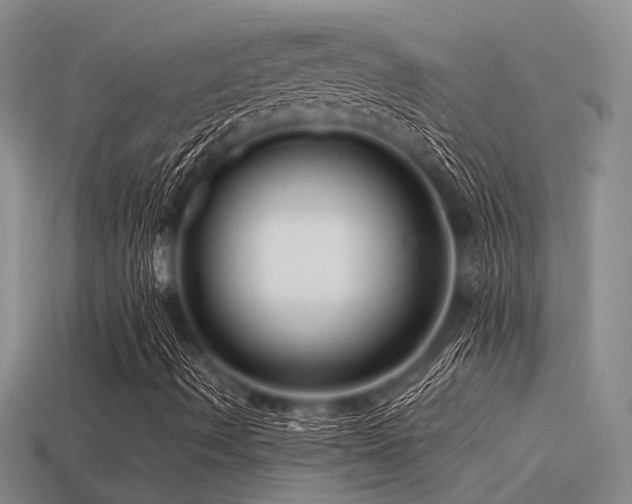 X0000113611490200909181408