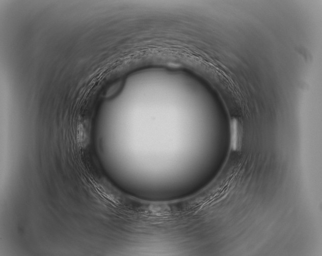 X0000113611491200909181408