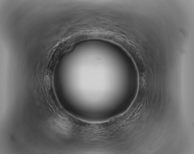 X0000113611493200909181408
