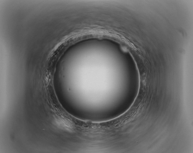 X0000113611495200909181408