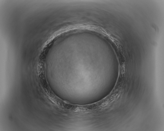 X0000113611496200909181408