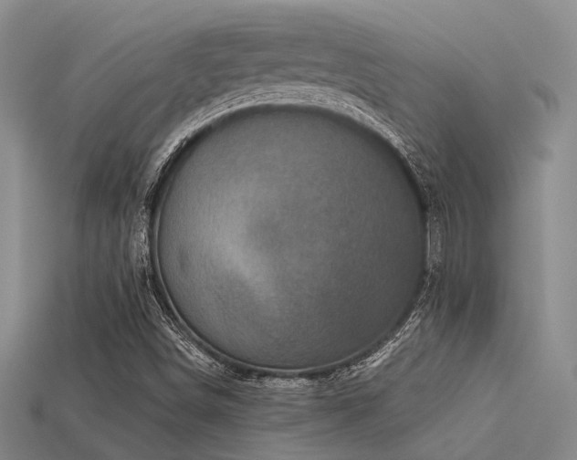 X0000113611498200909181408