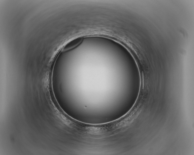 X0000113611500200909181408