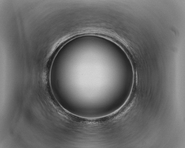 X0000113611501200909181408