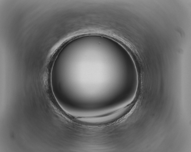 X0000113611502200909181408