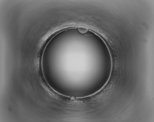 X0000113611503200909181408