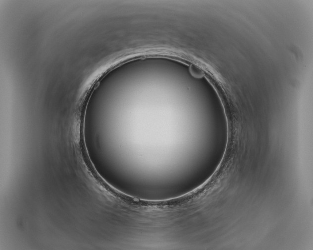 X0000113611504200909181408