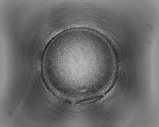 X0000113611505200909181408