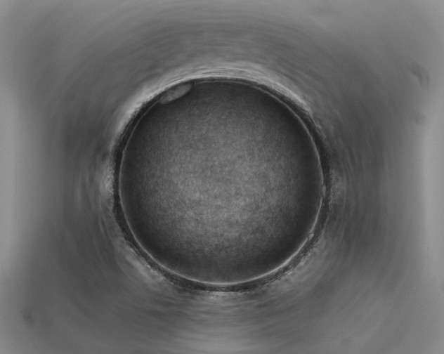 X0000113611506200909181408