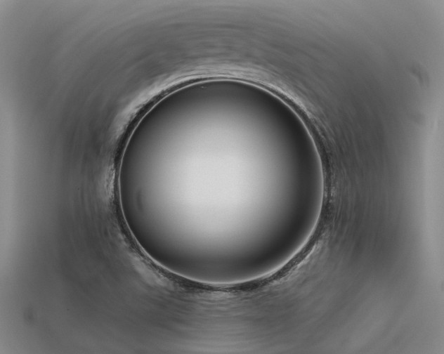 X0000113611507200909181408