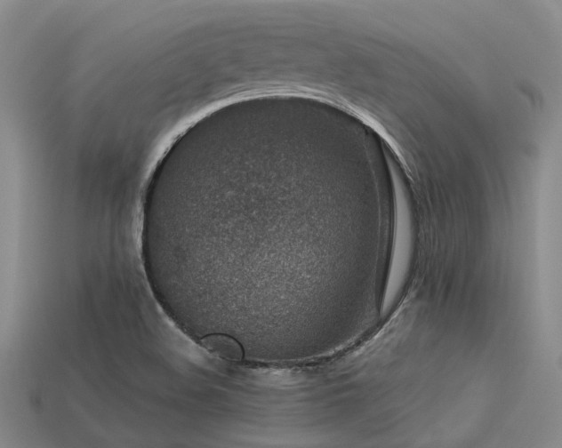 X0000113611508200909181408