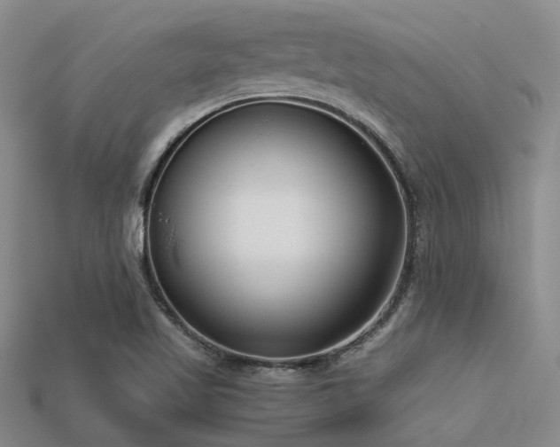 X0000113611509200909181408