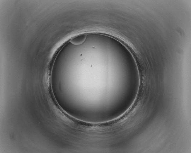 X0000113611510200909181408