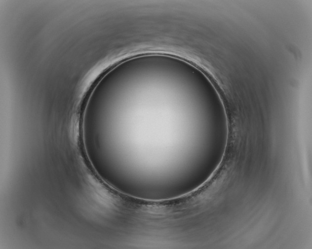 X0000113611511200909181408