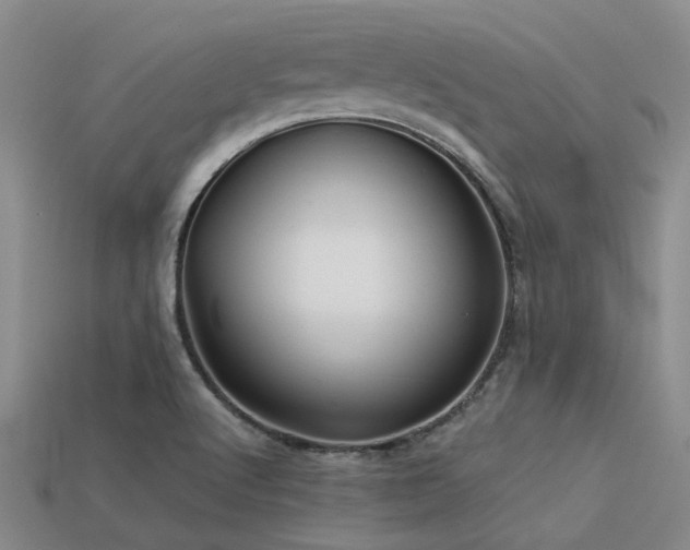 X0000113611512200909181408