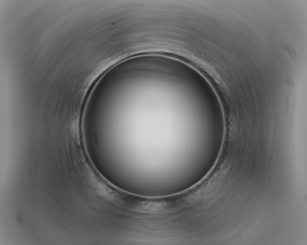 X0000113611513200909181408