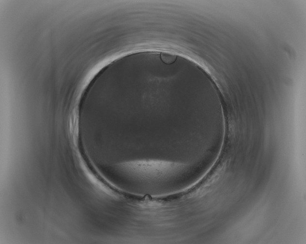 X0000113611515200909181408